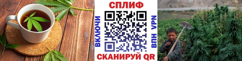 продажа наркотиков Канаш Canna-Cookies конопля