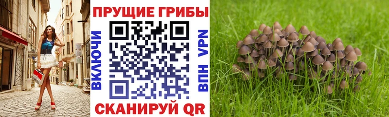 Галлюциногенные грибы Magic Shrooms  Канаш 