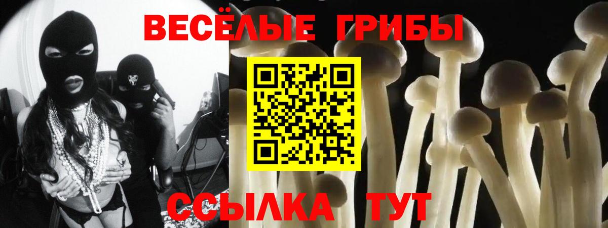 Галлюциногенные грибы Cubensis  Вход с VPN  Канаш 